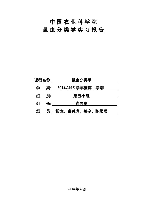 昆虫分类学实习报告 (2)