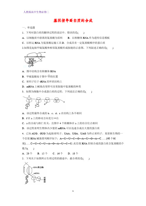 人教版(新教材)高中生物必修2练习31：4 1 基因指导蛋白质的合成课时作业