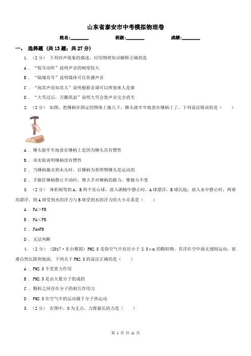 山东省泰安市中考模拟物理卷