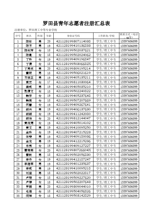 青年志愿者汇总表