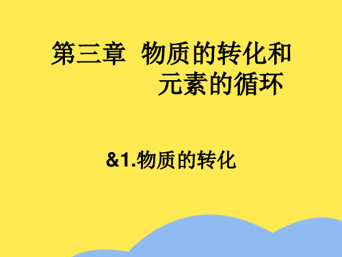 九年级科学下册 第3章 第1节 物质的转化课件 华东师大版3(“金属”相关文档)共9张