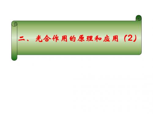 人教版高中生物必修一：5.4光合作用的原理及应用  课件 (共13张PPT)