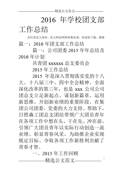 2016年学校团支部工作总结