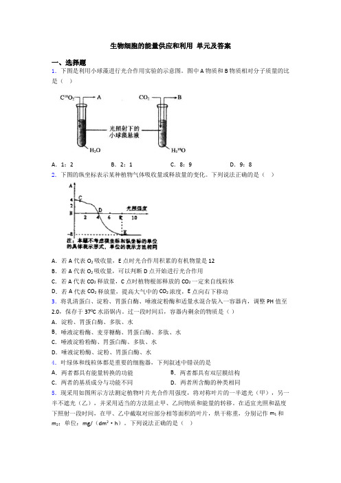 生物细胞的能量供应和利用 单元及答案