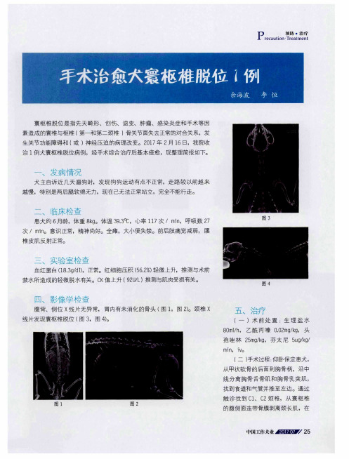 手术治愈犬寰枢椎脱位1例