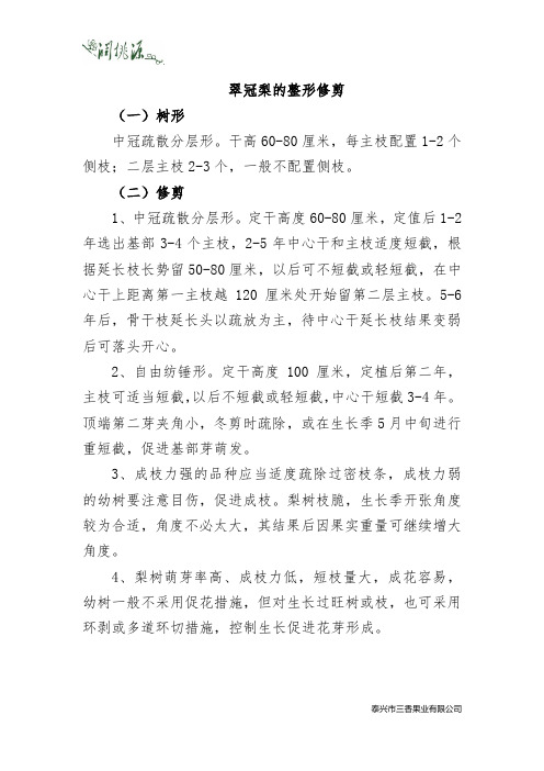 翠冠梨的整形修剪