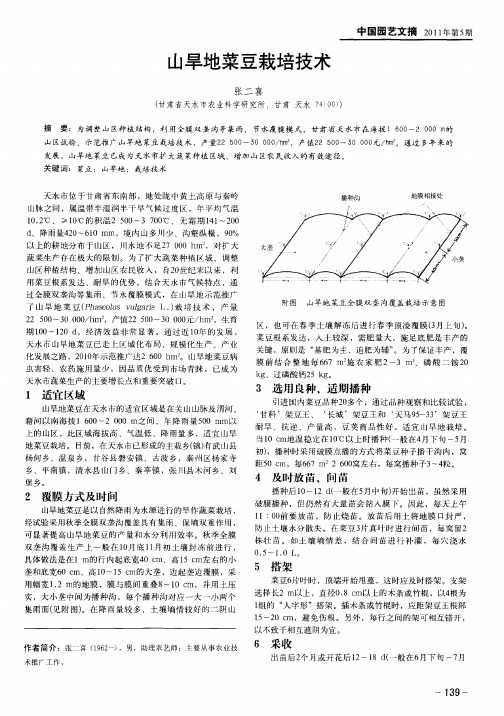 山旱地菜豆栽培技术