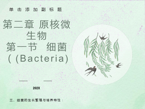 环境微生物细菌