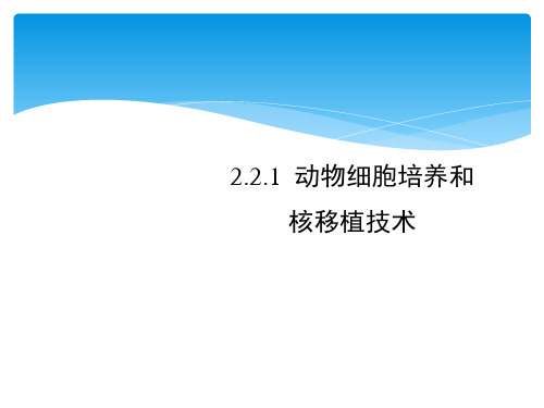 人教版高中生物选修三22动物细胞培养和核移植技术课件