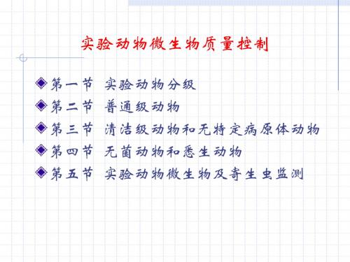 实验动物微生物质量控制小鼠的生物学特性