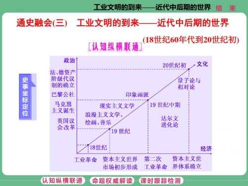 人教版高中历史必修2《二单元 资本主义世界的市场的形成和发展  第8课 第二次工业革命》培优课件_32