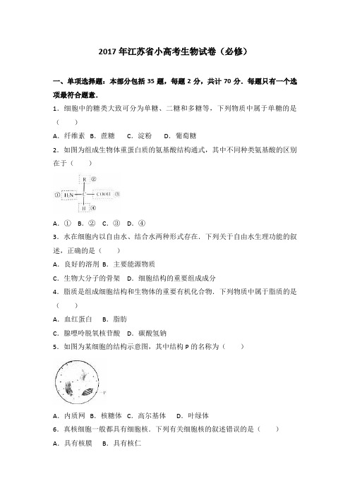 2017年江苏省普通高中学业水平测试(必修科目)试卷生物试题(解析版)