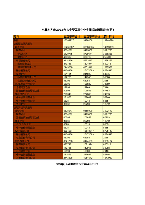 乌鲁木齐市2016年大中型工业企业主要经济指标统计(五)