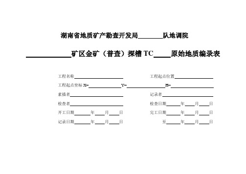 探槽编录表格(全)