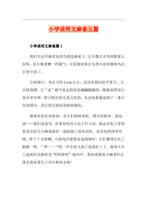 小学说明文麻雀五篇