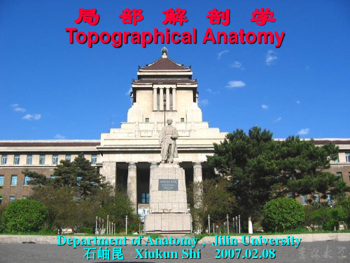 局部解剖学-腹部