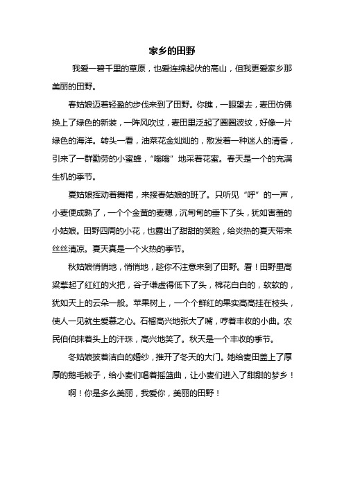 五年级作文:家乡的田野作文500字_5
