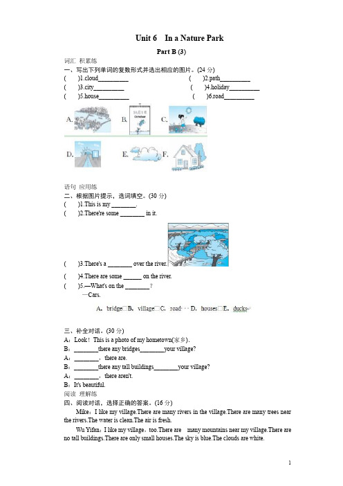 课时测评-英语人教PEP5年上 unit6 In a nature park-PartB试题及答案 (3)