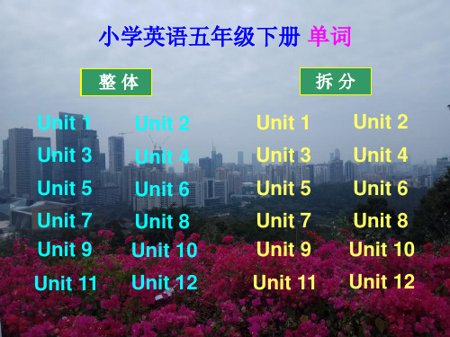 沪教牛津版小学英语五年级下册单词(手机版)