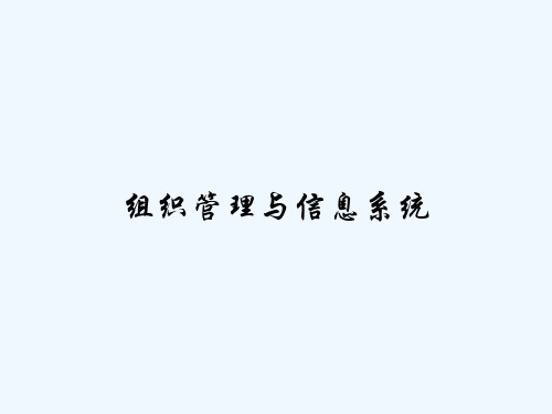 组织管理与信息系统-PPT