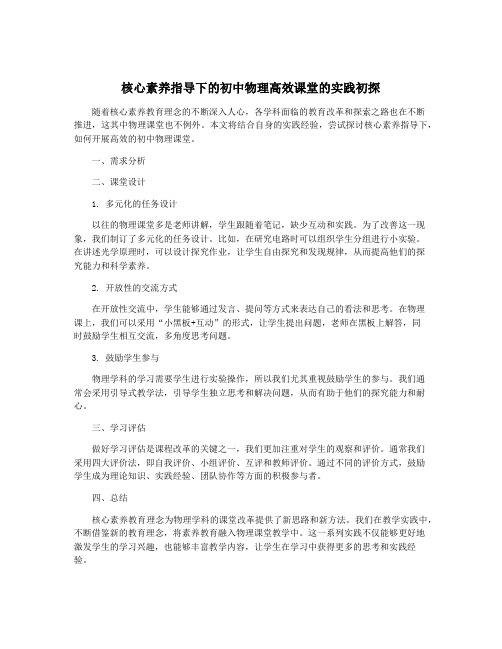 核心素养指导下的初中物理高效课堂的实践初探