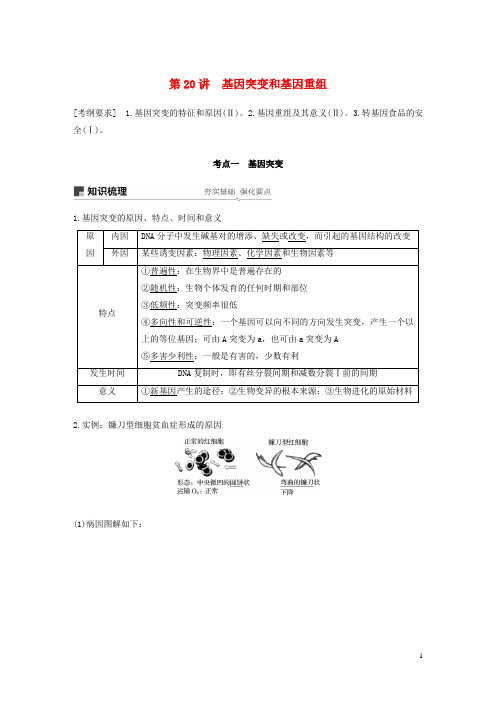 2019版生物高考大一轮复习第七单元生物的变异与进化第20讲基因突变和基因重组学案北师大版