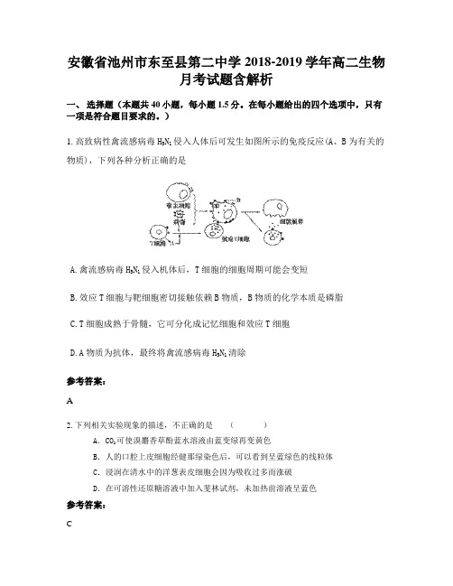 安徽省池州市东至县第二中学2018-2019学年高二生物月考试题含解析