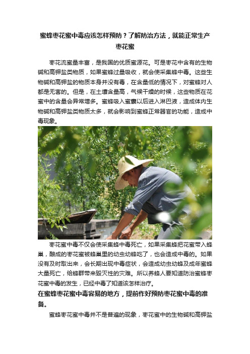 蜜蜂枣花蜜中毒应该怎样预防？了解防治方法，就能正常生产枣花蜜