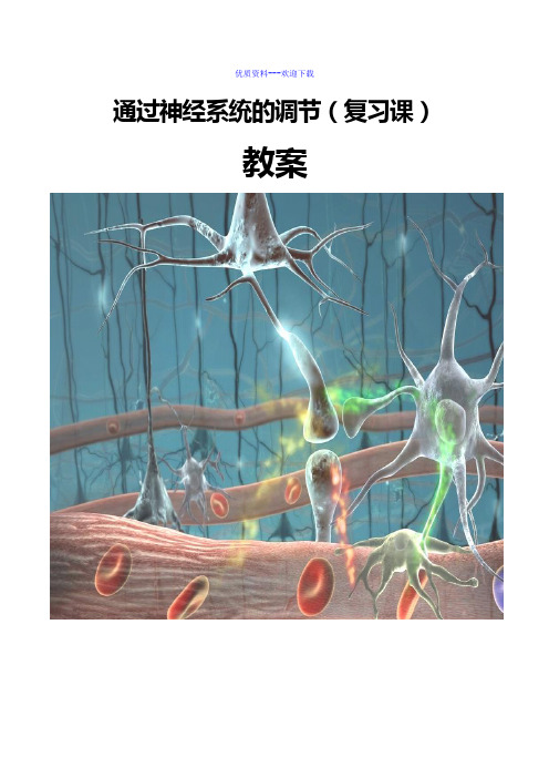 高中生物人教版必修三 稳态与环境高中必修3第2章第1节通过神经系统的调节教案3