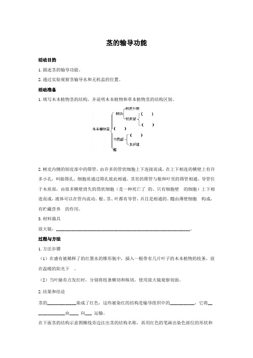 《生物活动手册》苏教七年级生物(上册)——茎的输导功能