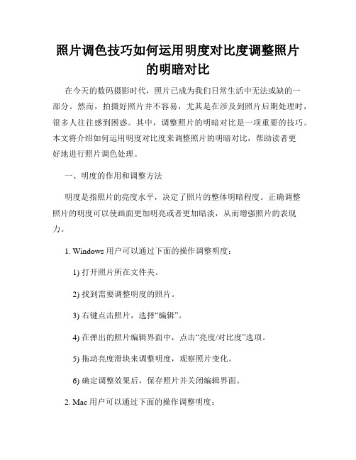 照片调色技巧如何运用明度对比度调整照片的明暗对比