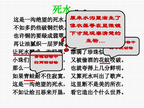 初一科学 2.5显微镜下的各种生物(1)PPT(教案已上传)