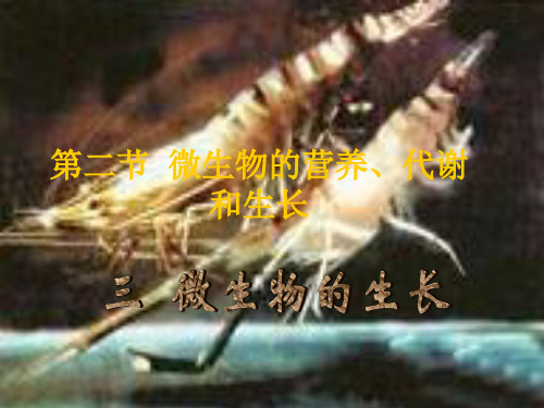 高三生物课件：三 微生物的生长