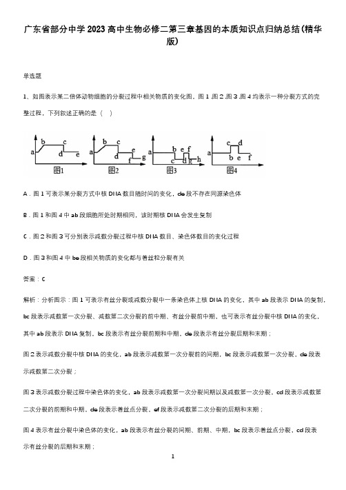 广东省部分中学2023高中生物必修二第三章基因的本质知识点归纳总结(精华版)