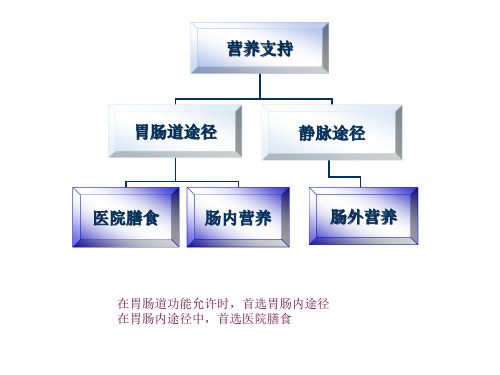 营养支持医院膳食