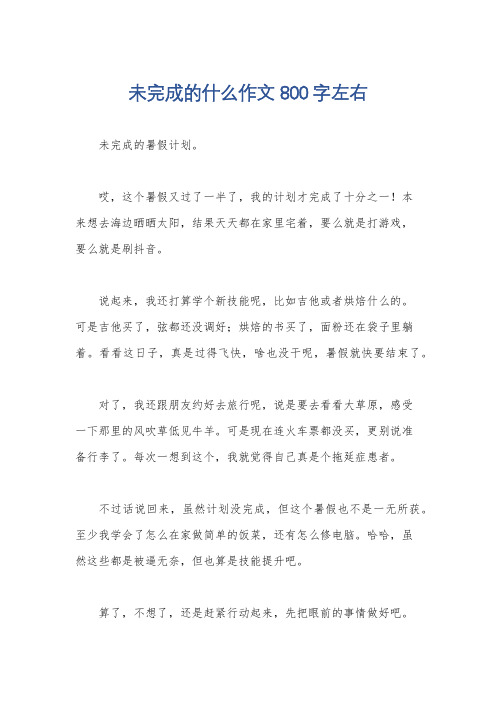 未完成的什么作文800字左右