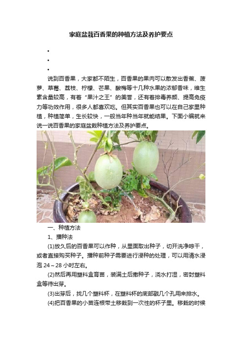 家庭盆栽百香果的种植方法及养护要点