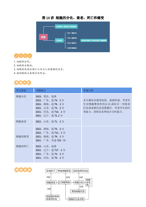 细胞的分化、衰老、死亡和癌变(讲义)(教师版)