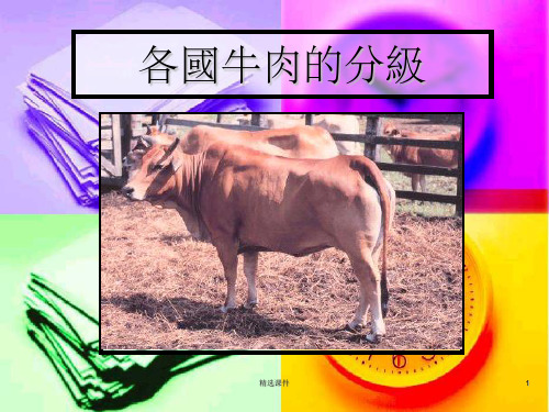 《各国牛肉的分级》