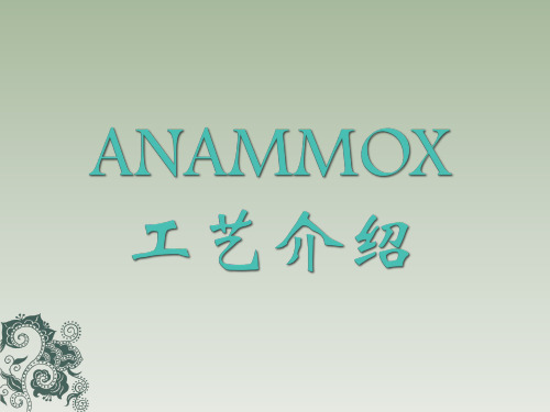 厌氧氨氧化(ANAMMOX)工艺介绍