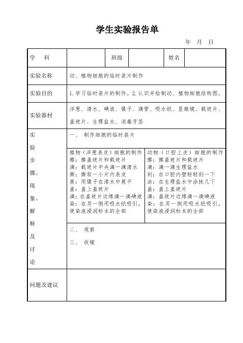 七年级下册实验报告