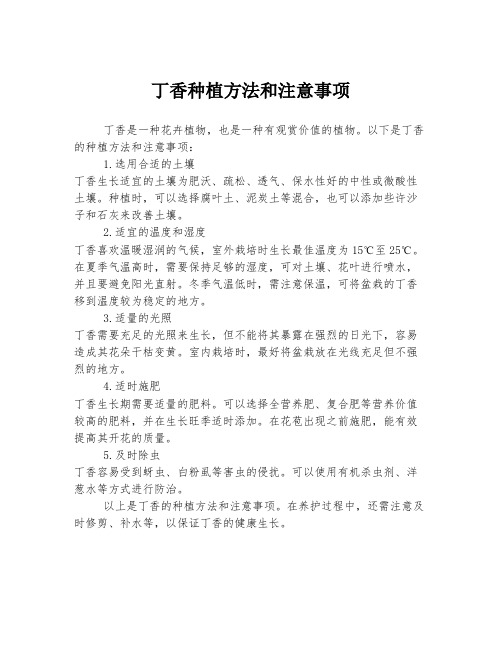 丁香种植方法和注意事项