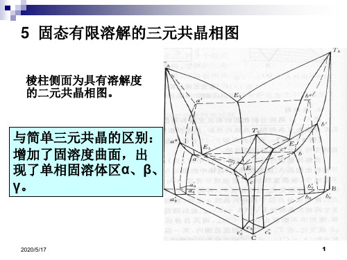 13三元相图及凝固组织-有固溶度变化共晶相...