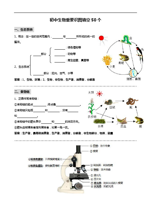 初中生物重要识图填空速记50个-【口袋书】2024年中考生物一轮复习知识清单