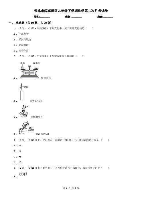 天津市滨海新区九年级下学期化学第二次月考试卷