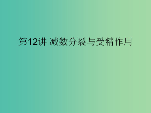 2019版高考生物一轮复习 第一部分 第四单元 细胞的生命历程 第12讲 减数分裂与受精作用课件 新