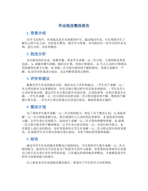 作业批改整改报告