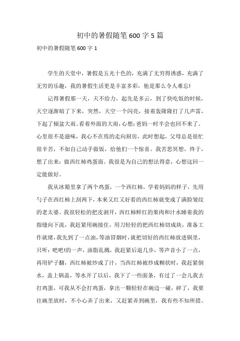 初中的暑假随笔600字5篇