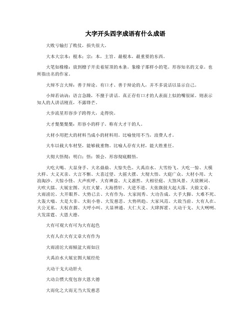 大字开头四字成语有什么成语