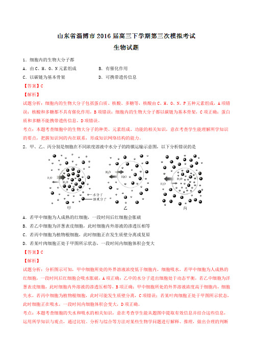 山东省淄博市2016届高三下学期第三次模拟考试生物试题(解析版)